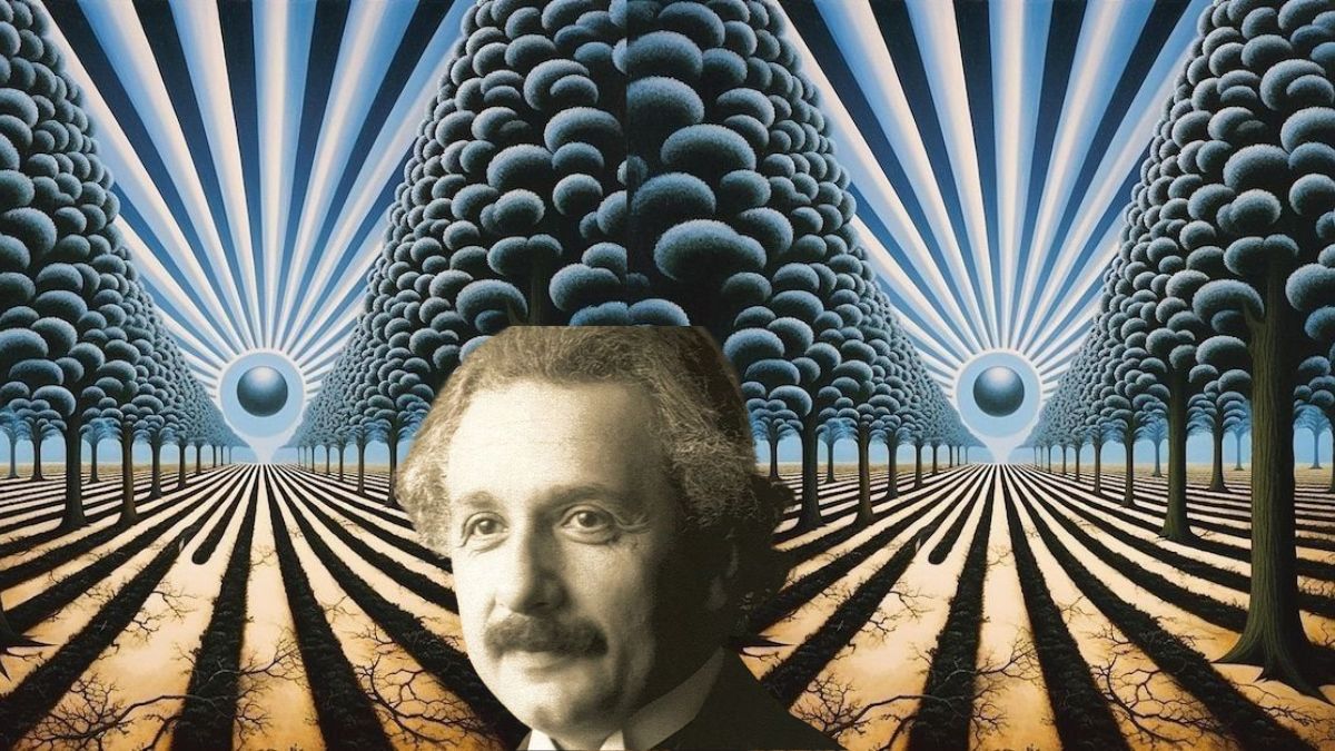 find the hidden face in tree-sol