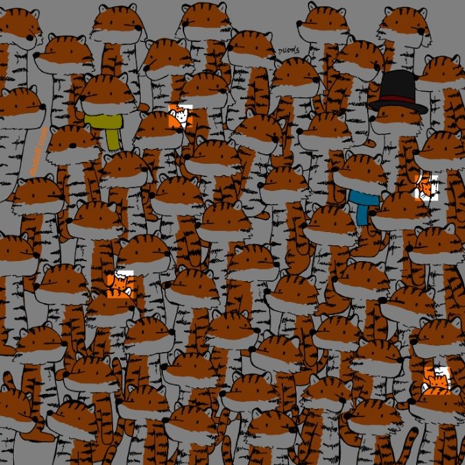 hidden-cats-picture-puzzle-answer