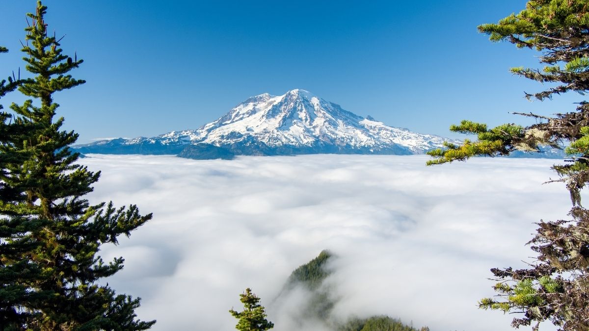 Mount Rainier