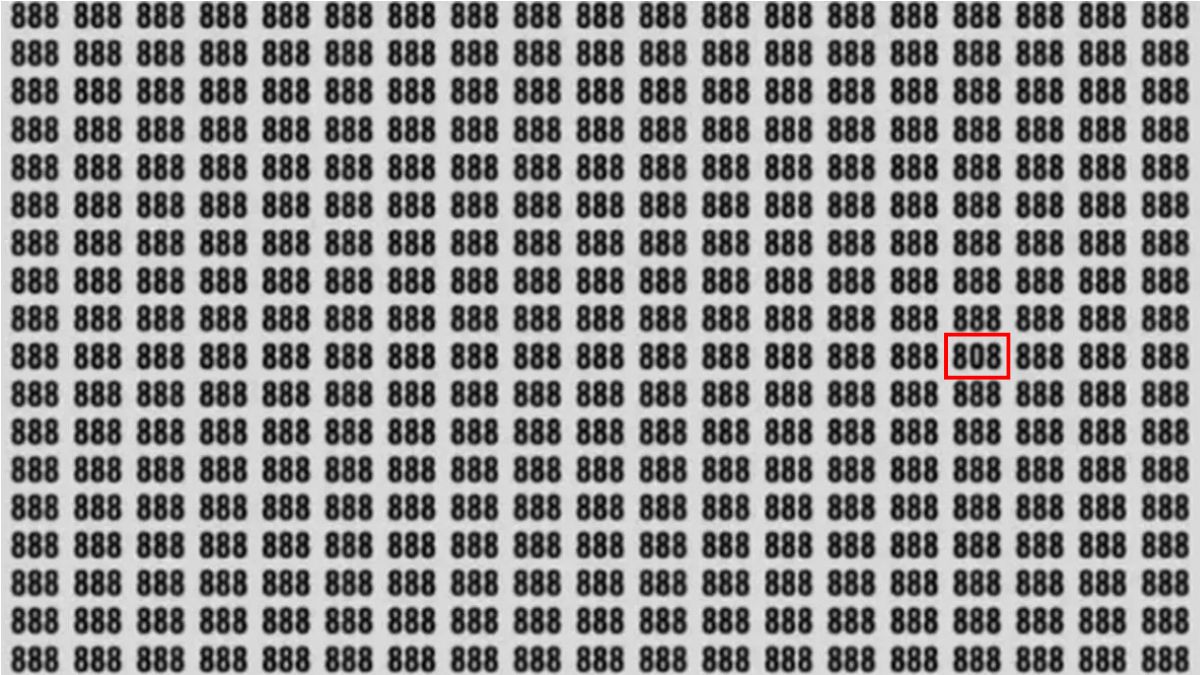 hidden-number-optical-illusion-answer