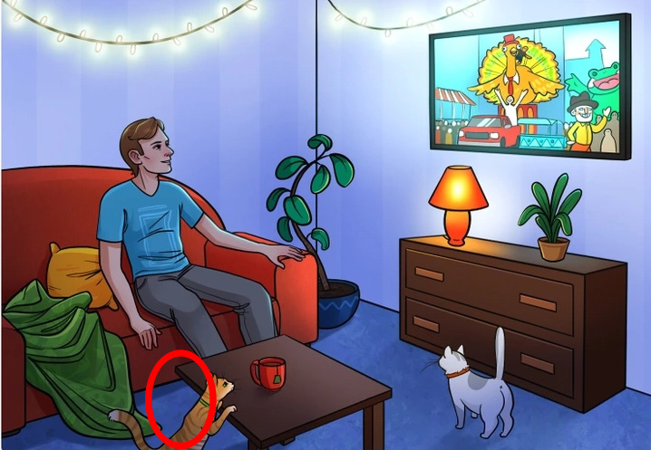 find the mistake solution