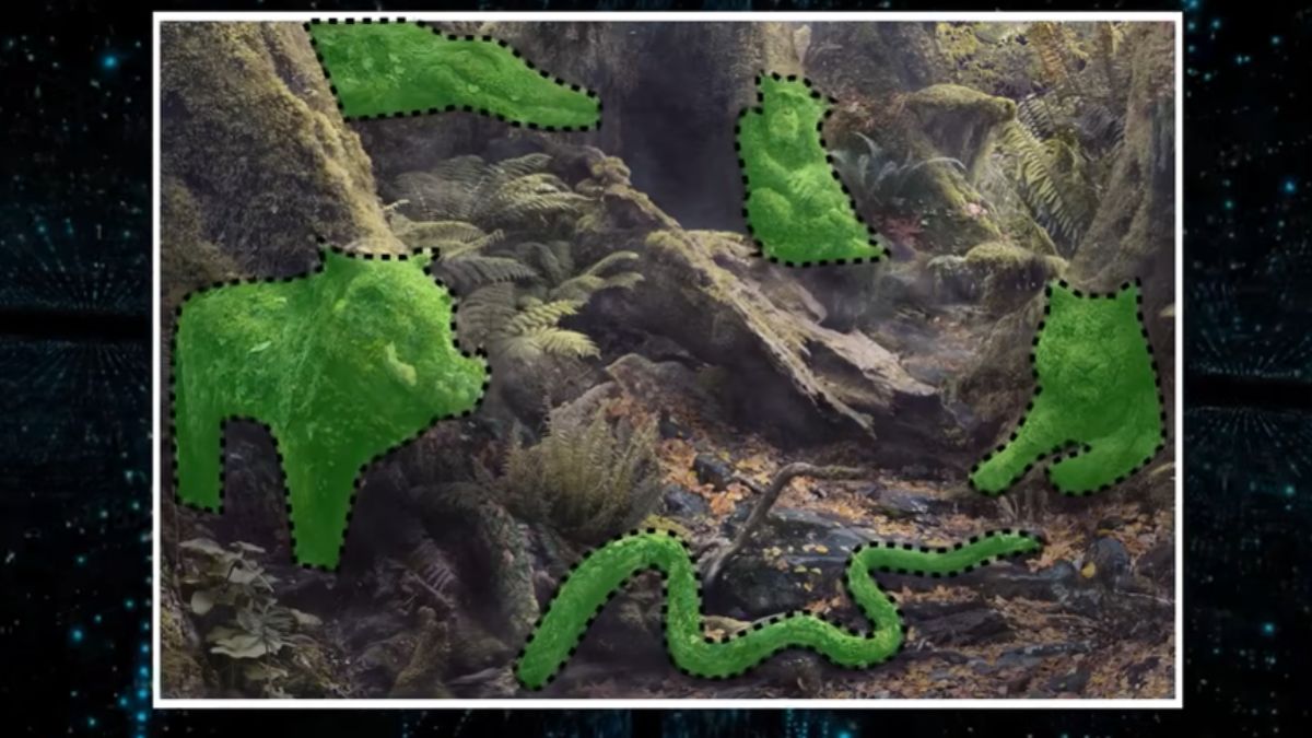 how many animal is hidden in this picture-sol