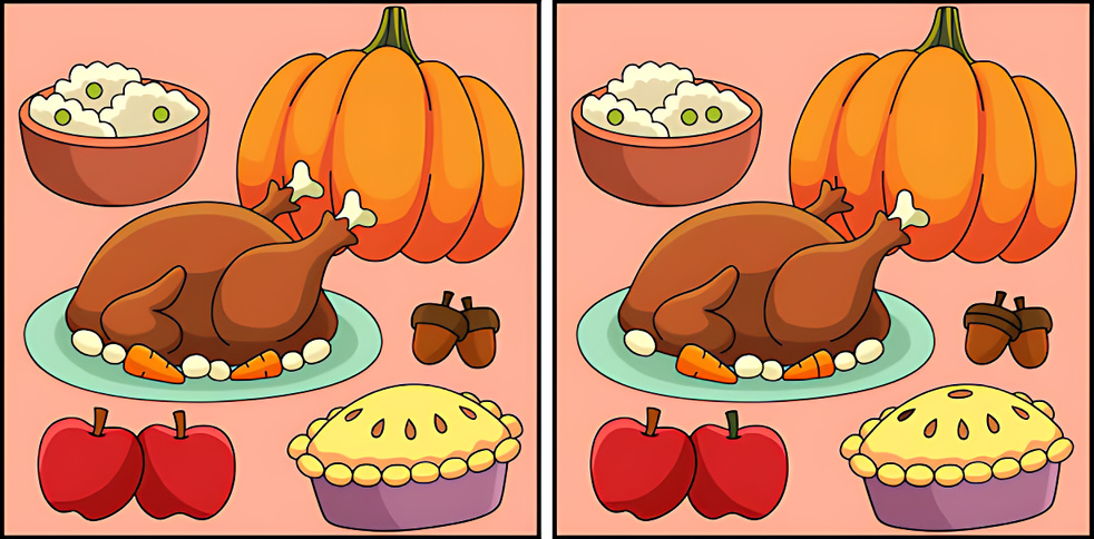 spot the differences thanksgiving feast pictures