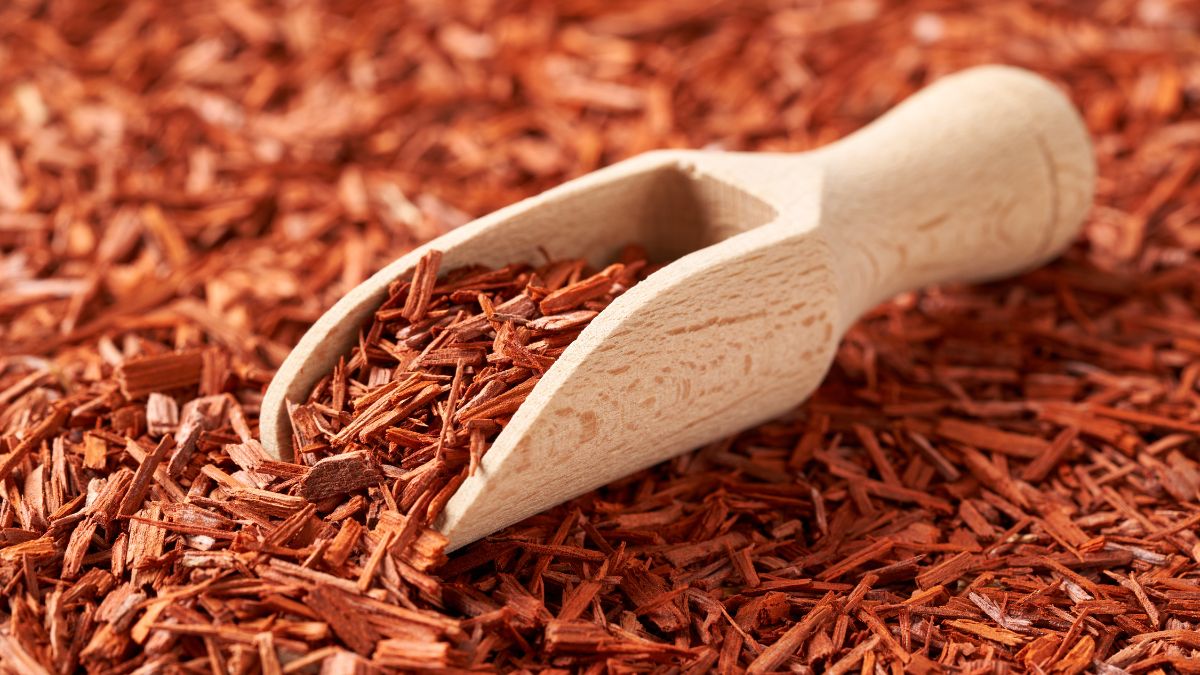 sandalwood city of india sandalwood city of india