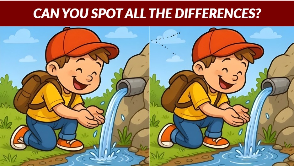 spot all differences