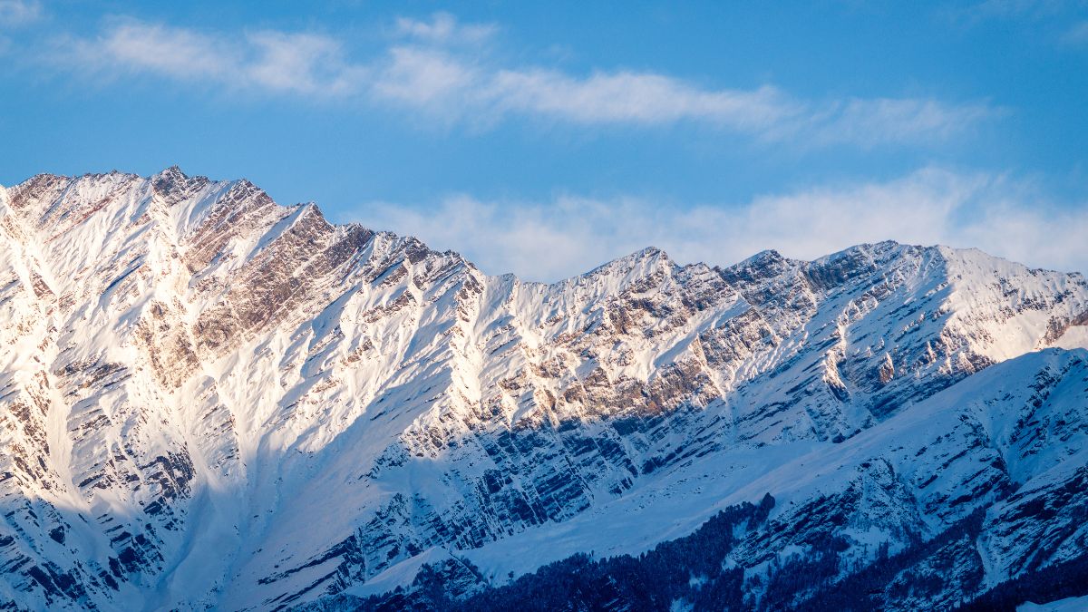 queen of hills queen of hills