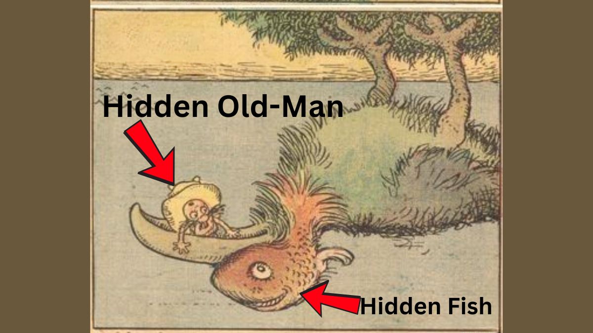 spot the hidden fish and old man-sol
