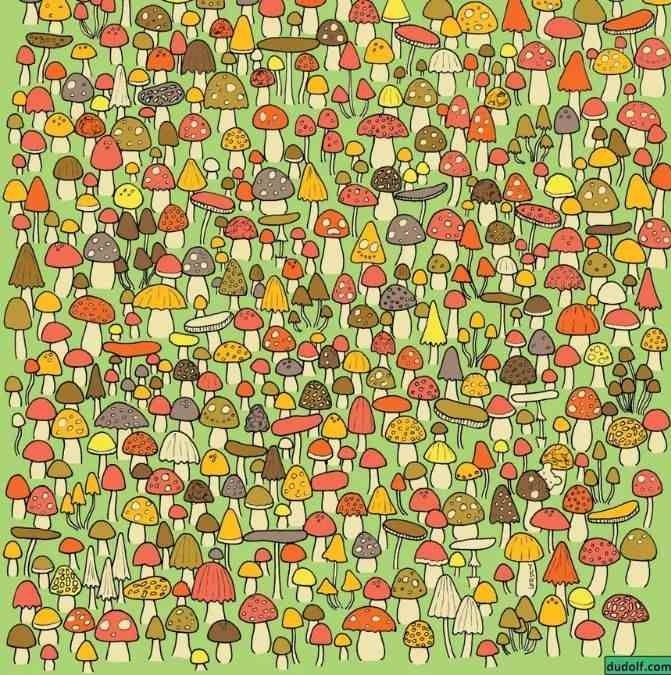 hidden-mouse-optical-illusion