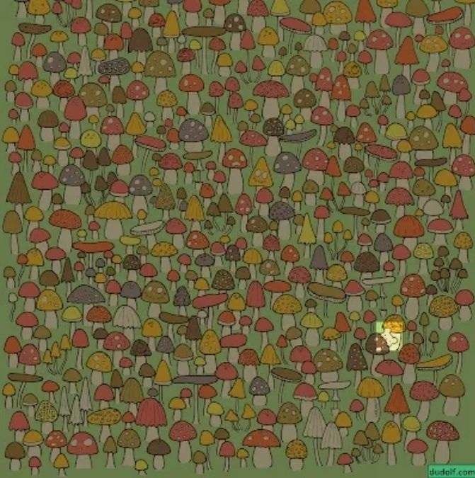 hidden-mouse-optical-illusion-answer