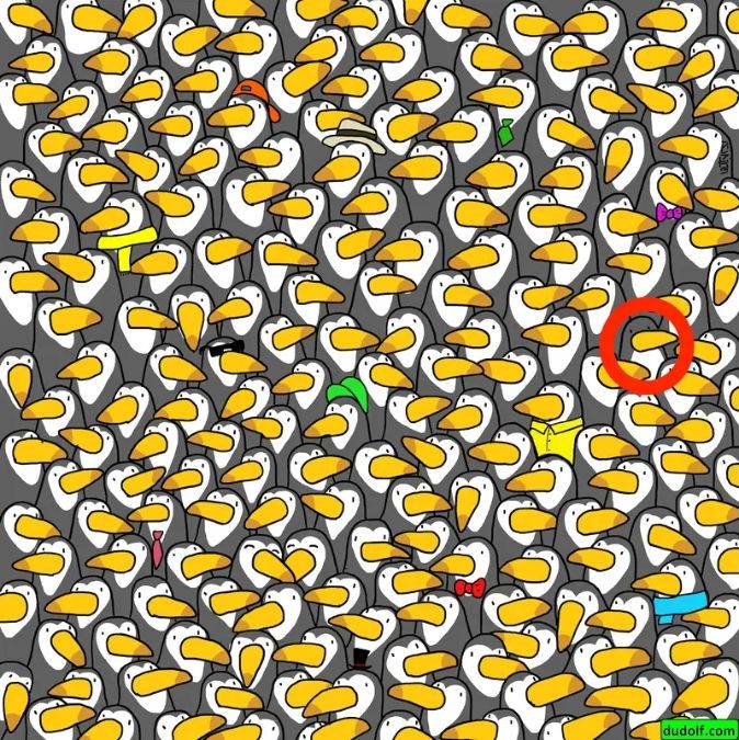 hidden-penguin-picture-puzzle-answer