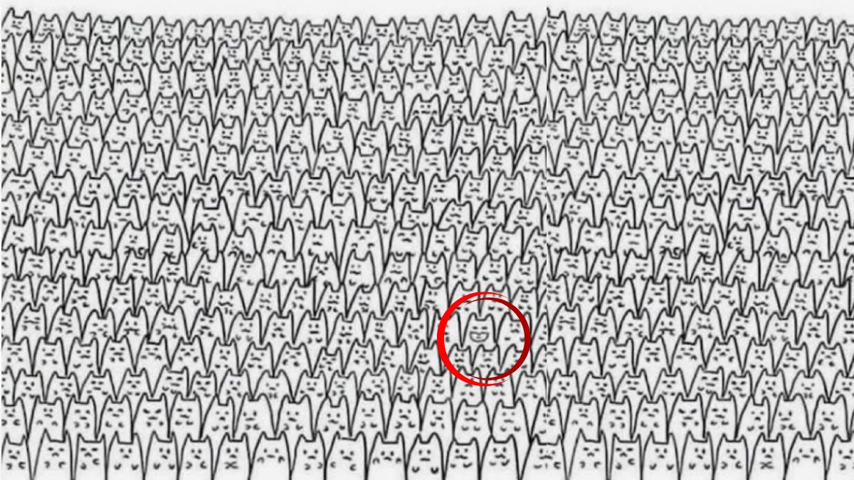 spot the hidden batman-sol