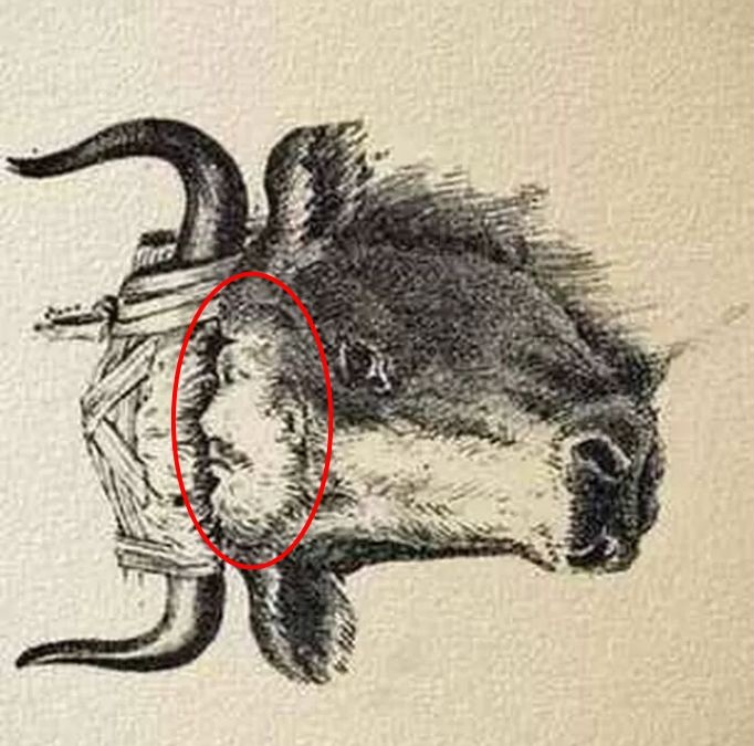 hidden-farmer-picture-puzzle-answer