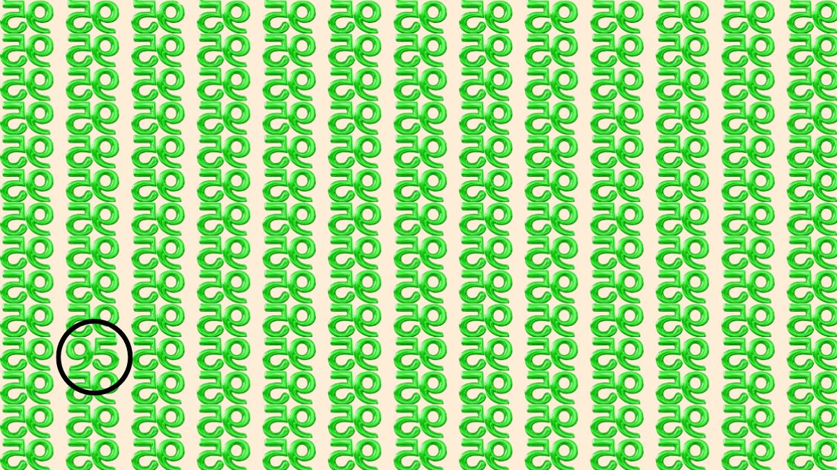 spot the hidden 95-sol