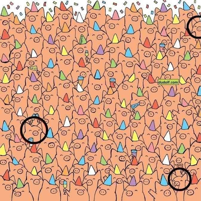 hidden-animals-picture-puzzle-answer