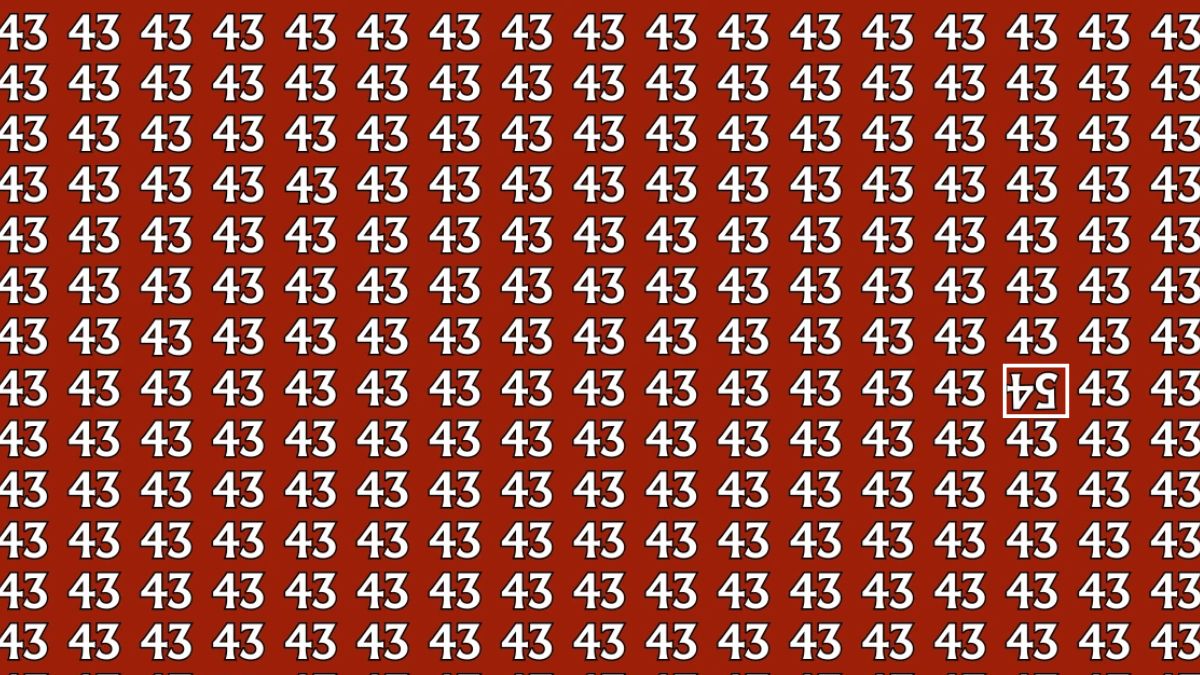 hidden-number-optical-illusion-answer