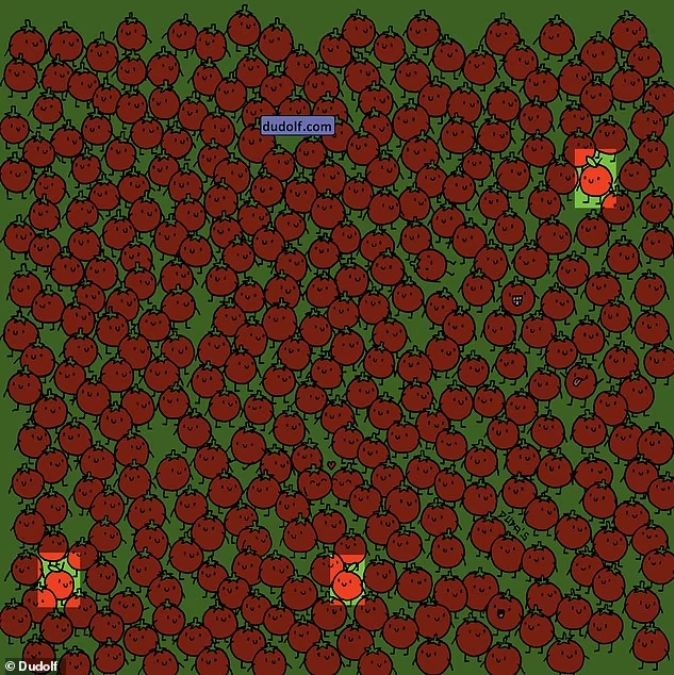 find-hidden-apples-picture-puzzle-answer
