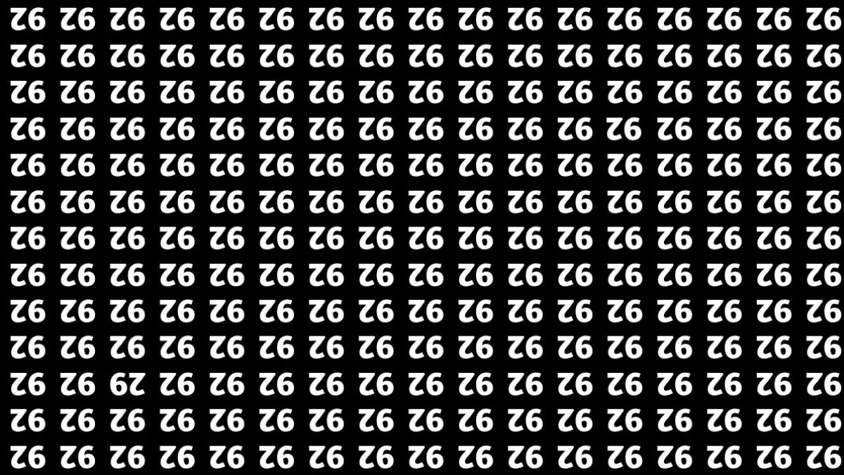 hidden number optical illusion with answer hidden-number-optical-illusion