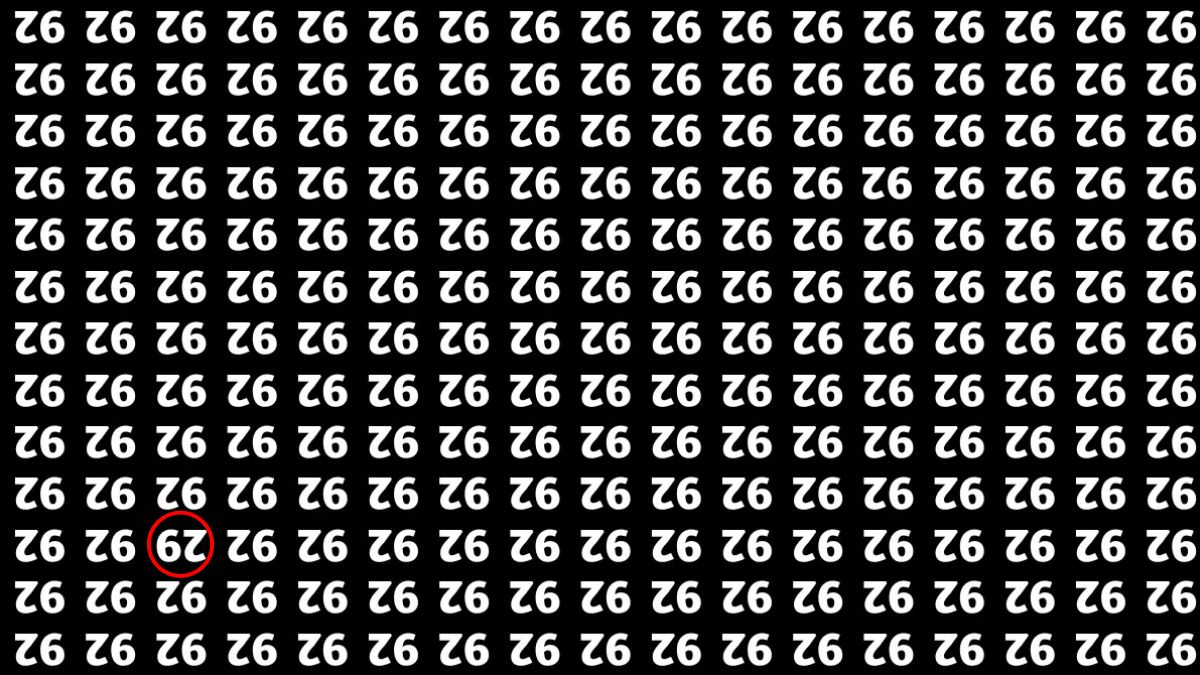 hidden-number-optical-illusion-answer