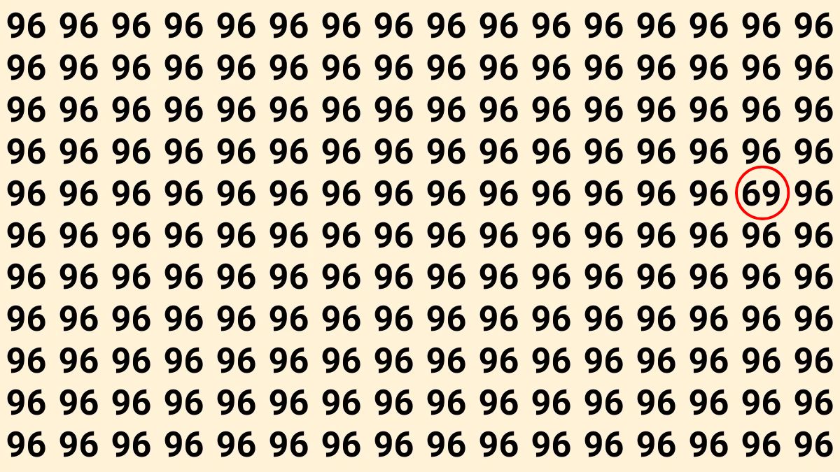 hidden-number-optical-illusion-answer