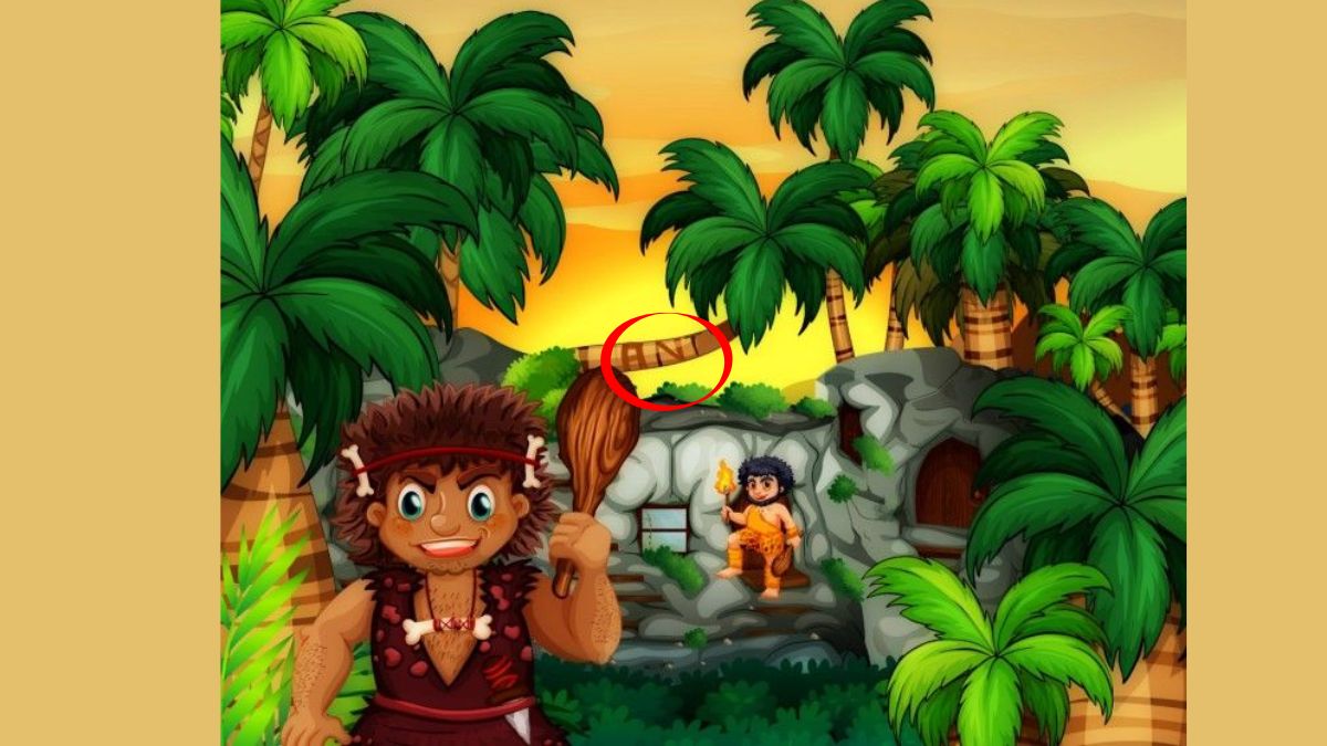 find the hidden word-sol