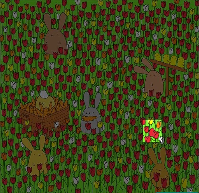 find-hidden-egg-picture-puzzle-answer