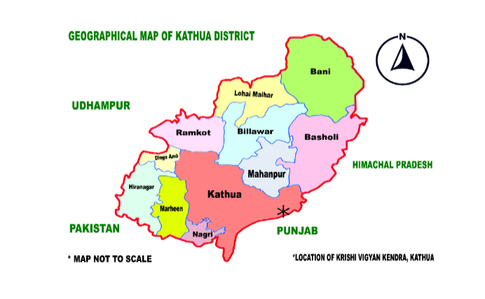 kathua-1