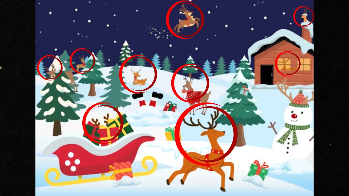 Spot 9 Hidden Reindeer -sol