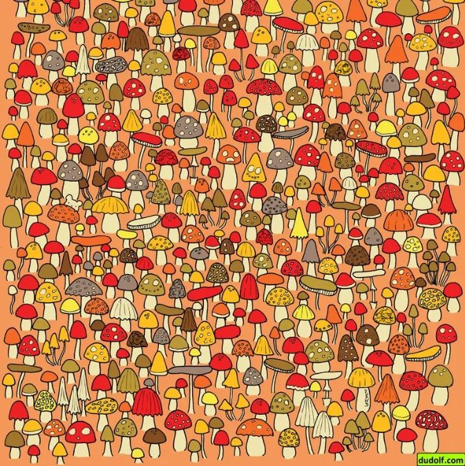 find hidden mouse picture puzzle with answer hidden-mouse-picture-puzzle