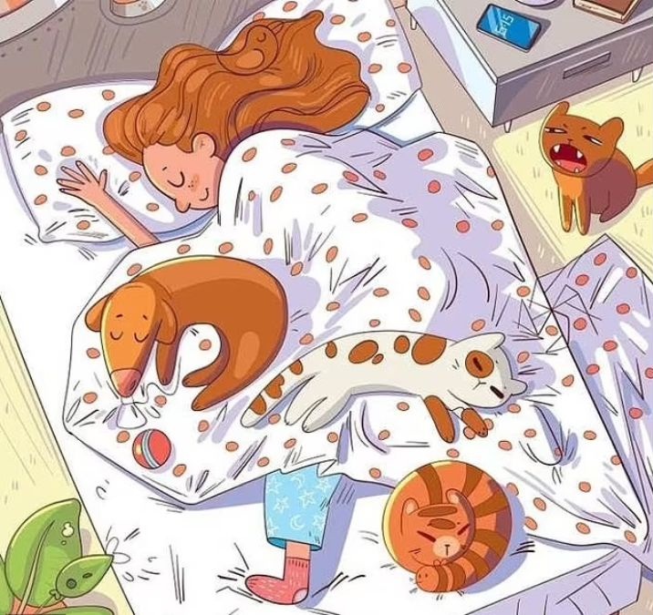 hidden bee optical illusion with answers find-hidden-bee-optical-illusion