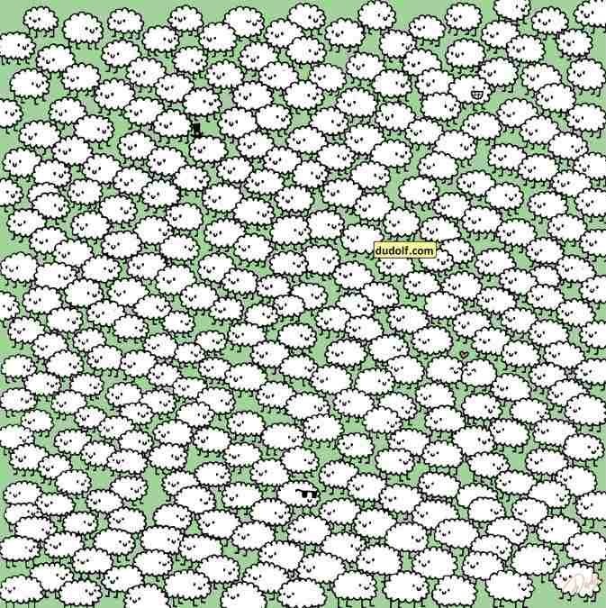 hidden clouds picture puzzle with answer hidden-clouds-picture-puzzle