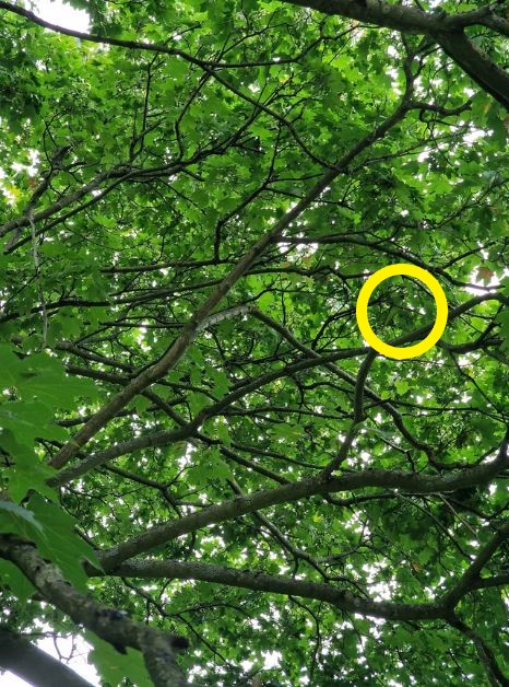 Josh-Folder (29)-one