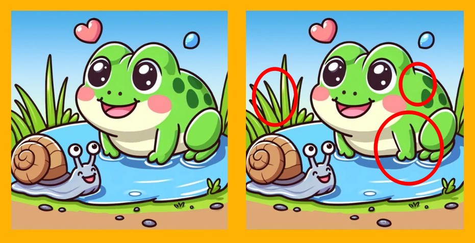 find differences solution