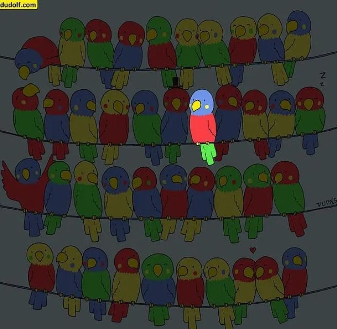 find-the-odd-one-out-parrot-picture-puzzle-answer