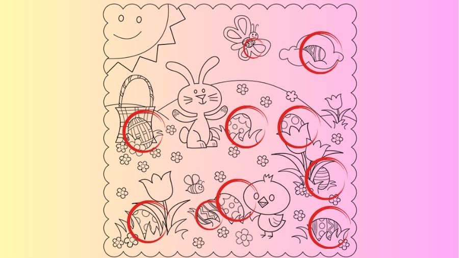 spot the hidden easter egg-sol