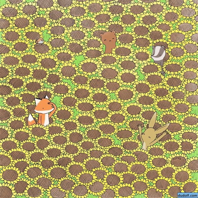 find-hidden-butterfly-picture-puzzle