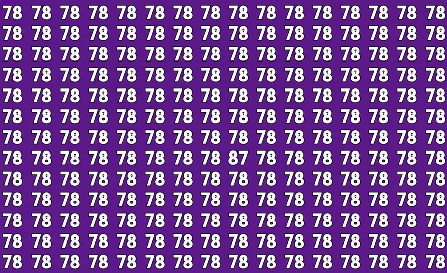 numerical-optical-illusion-find-87