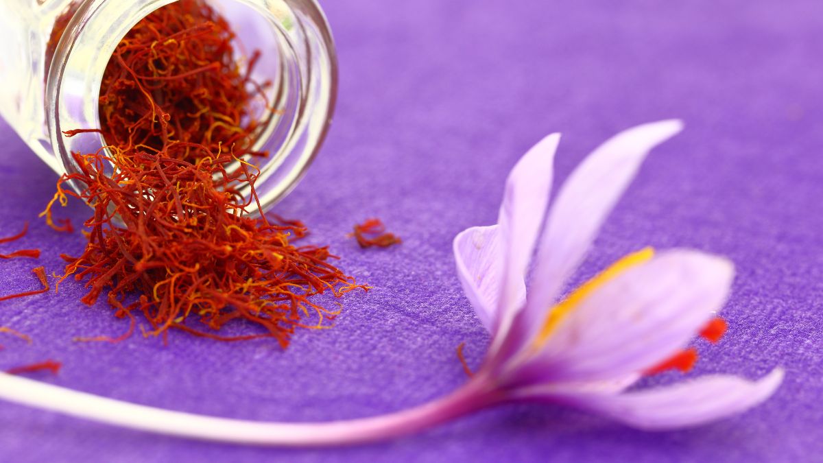 saffron