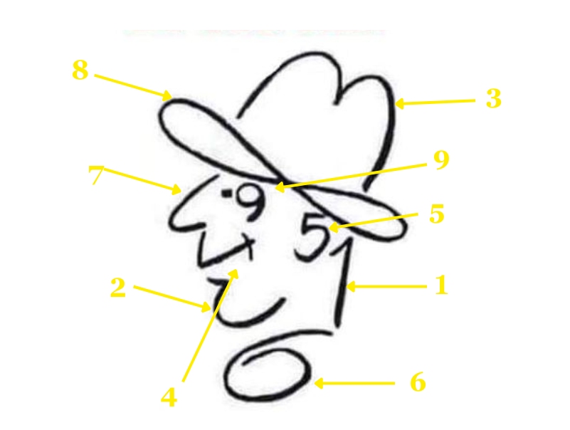 how many numbers do you see-sol