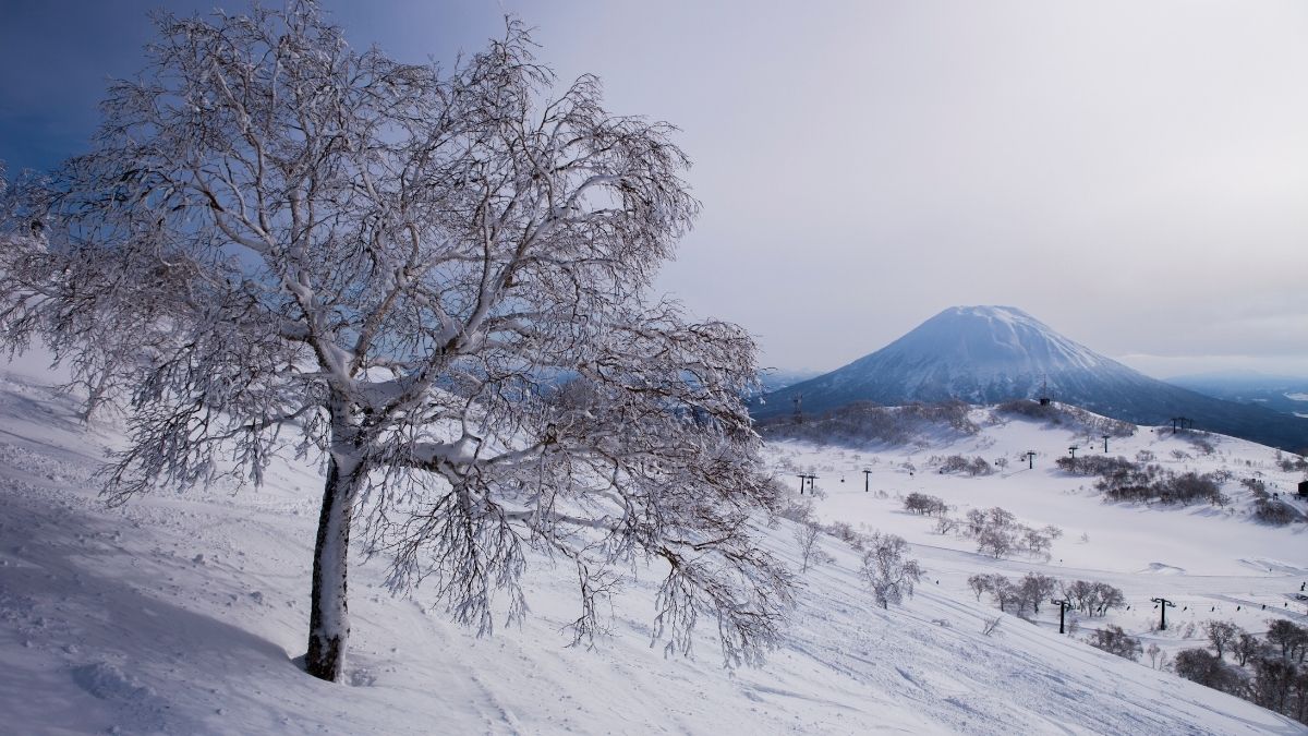 Niseko Snowiest Place on Earth