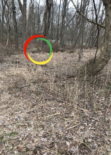 find the hidden cat-sol