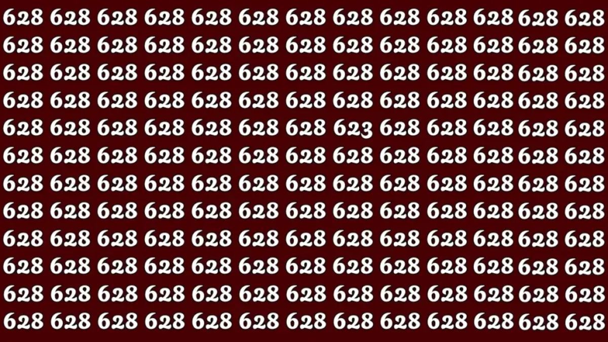 hidden-number-optical-illusion