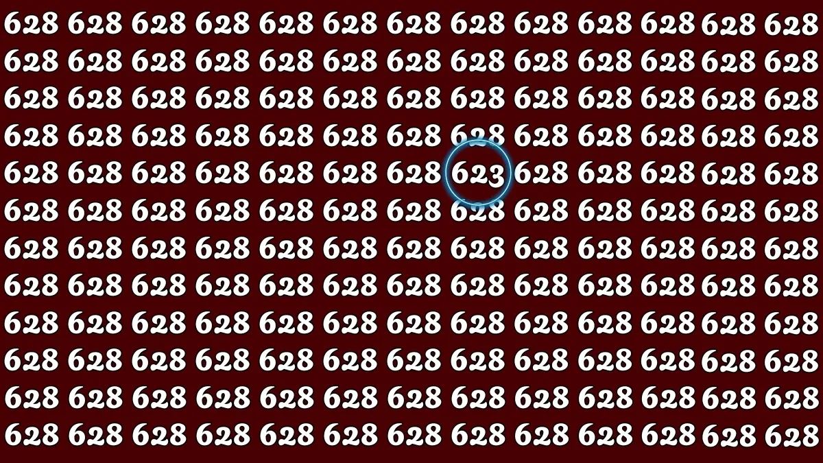 hidden-number-optical-illusion-answer