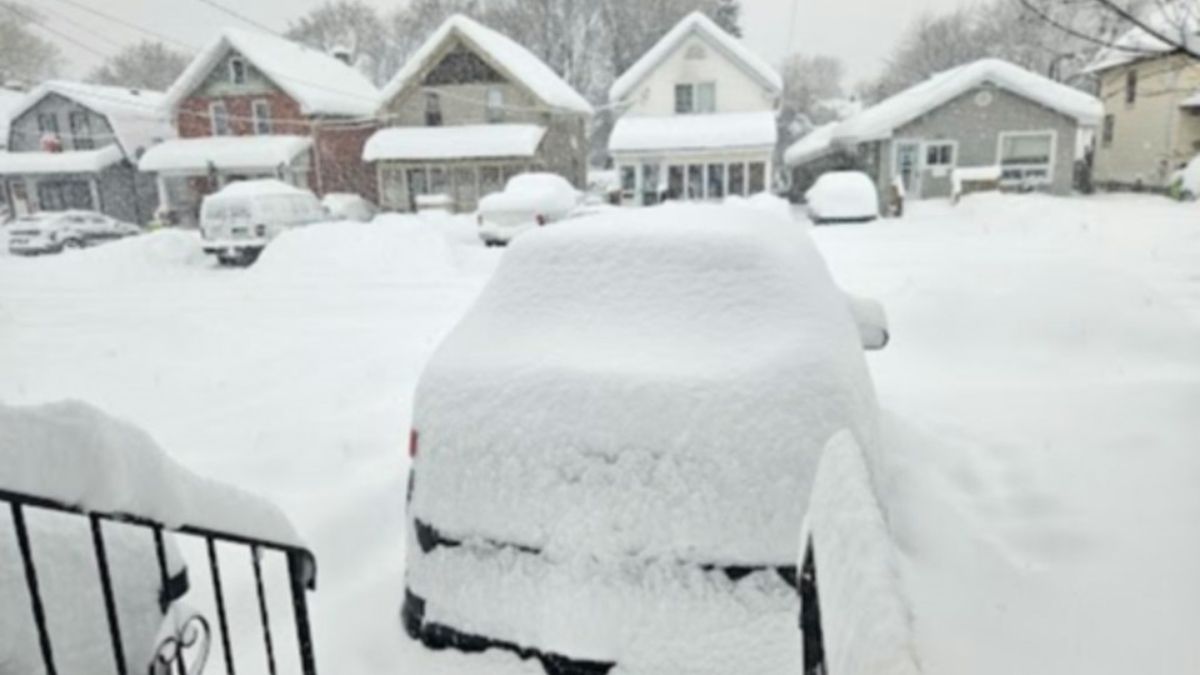 Sault Ste Marie Snowfall