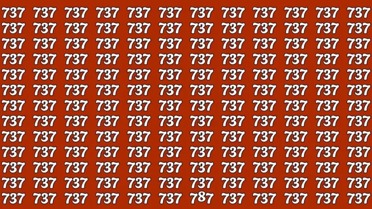 find-hidden-number-optical-illusion