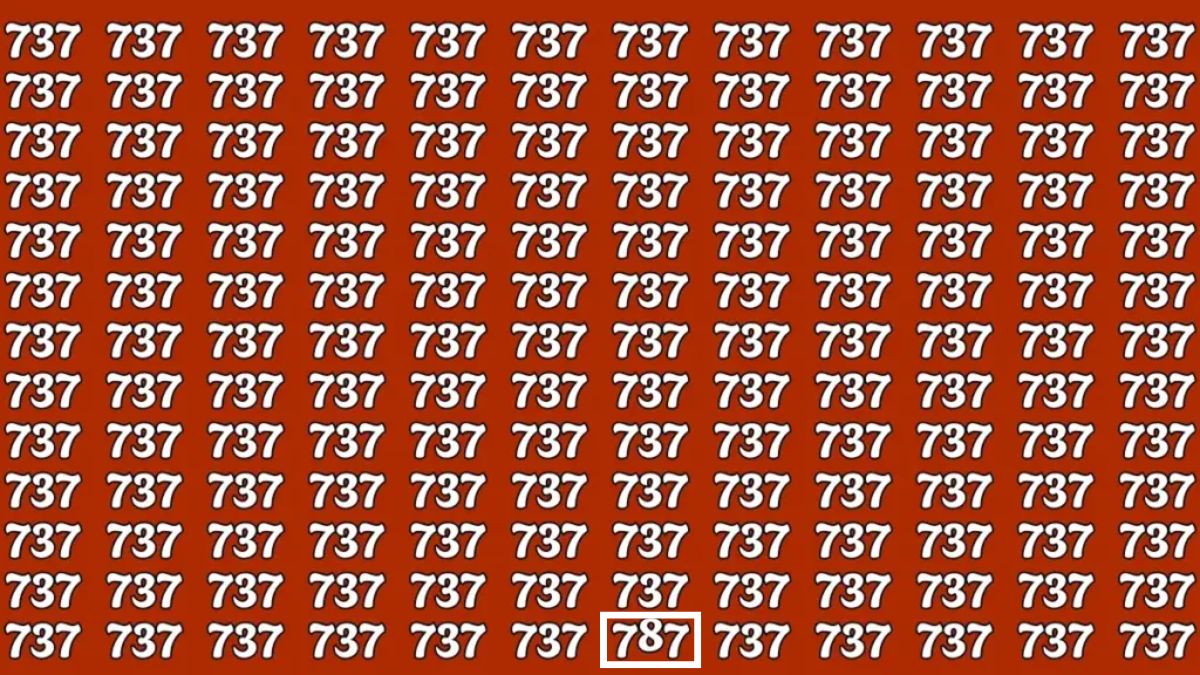 hidden-number-optical-illusion-with-answer