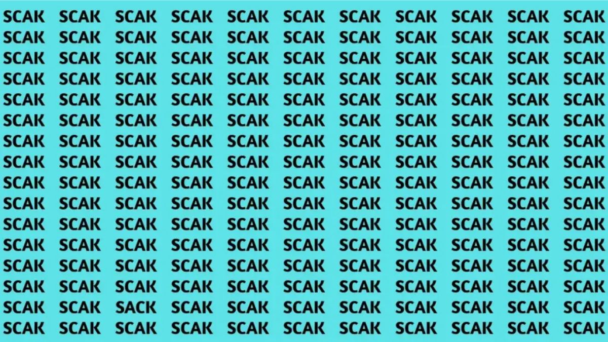 find-hidden-word-optical-illusion