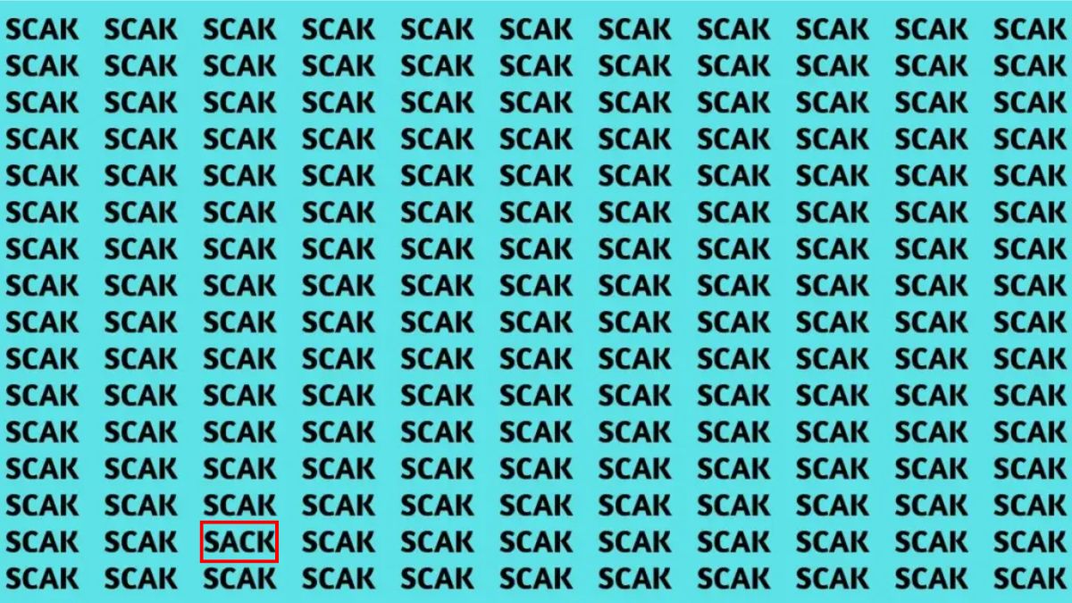 find-hidden-word-optical-illusion-answer