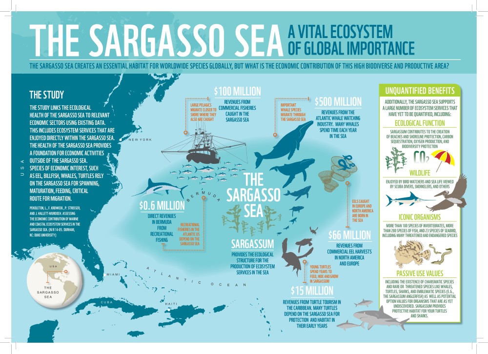 infographic_ecosystem_services_sargasso_sea