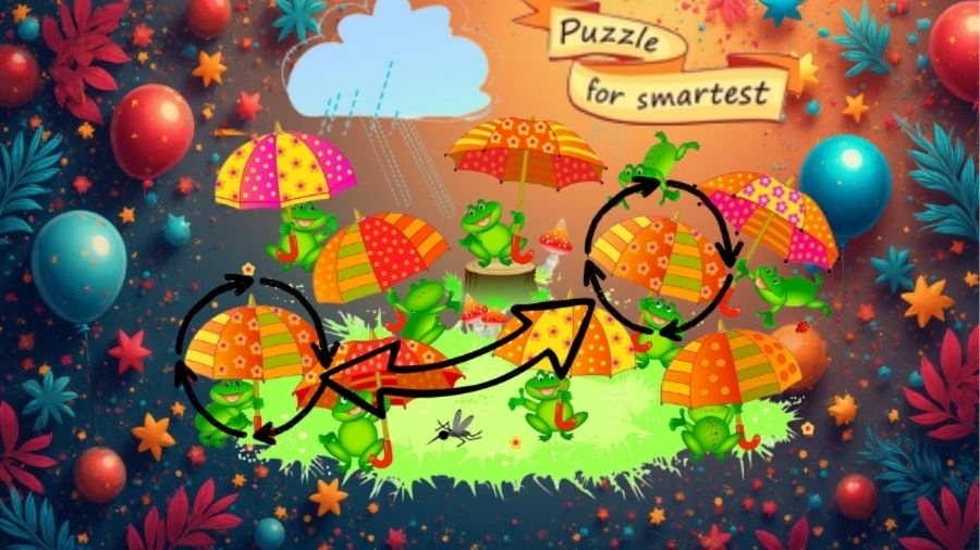 find two identical umbrella-sol