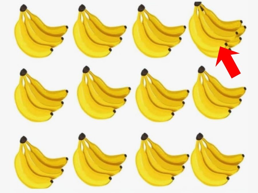 iq-test-how-many-bananas-are-there-answer